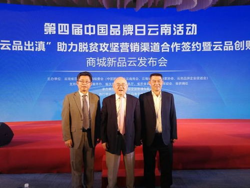 云品出滇 路在何方 大宗交易或成云南破局關鍵