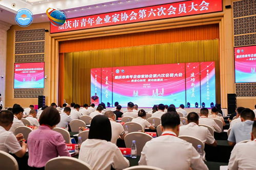 共促青商成長 重慶市青年企業家協會換屆