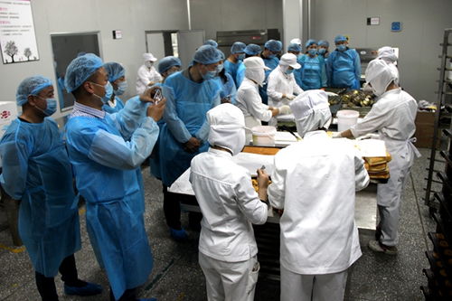 消費 駐馬店新聞 駐馬店廣視網