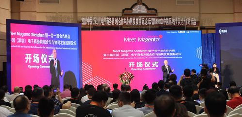 全球26國企業(yè)家齊聚第二屆中國 深圳 電子商務跨域合作與協(xié)同發(fā)展國際論壇